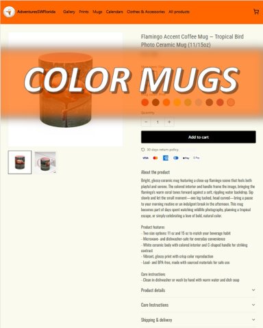 The Adventures in Southwest Florida online store is officially OPEN!